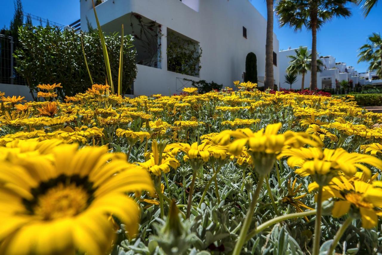 Mango Διαμέρισμα San Juan de los Terreros Εξωτερικό φωτογραφία